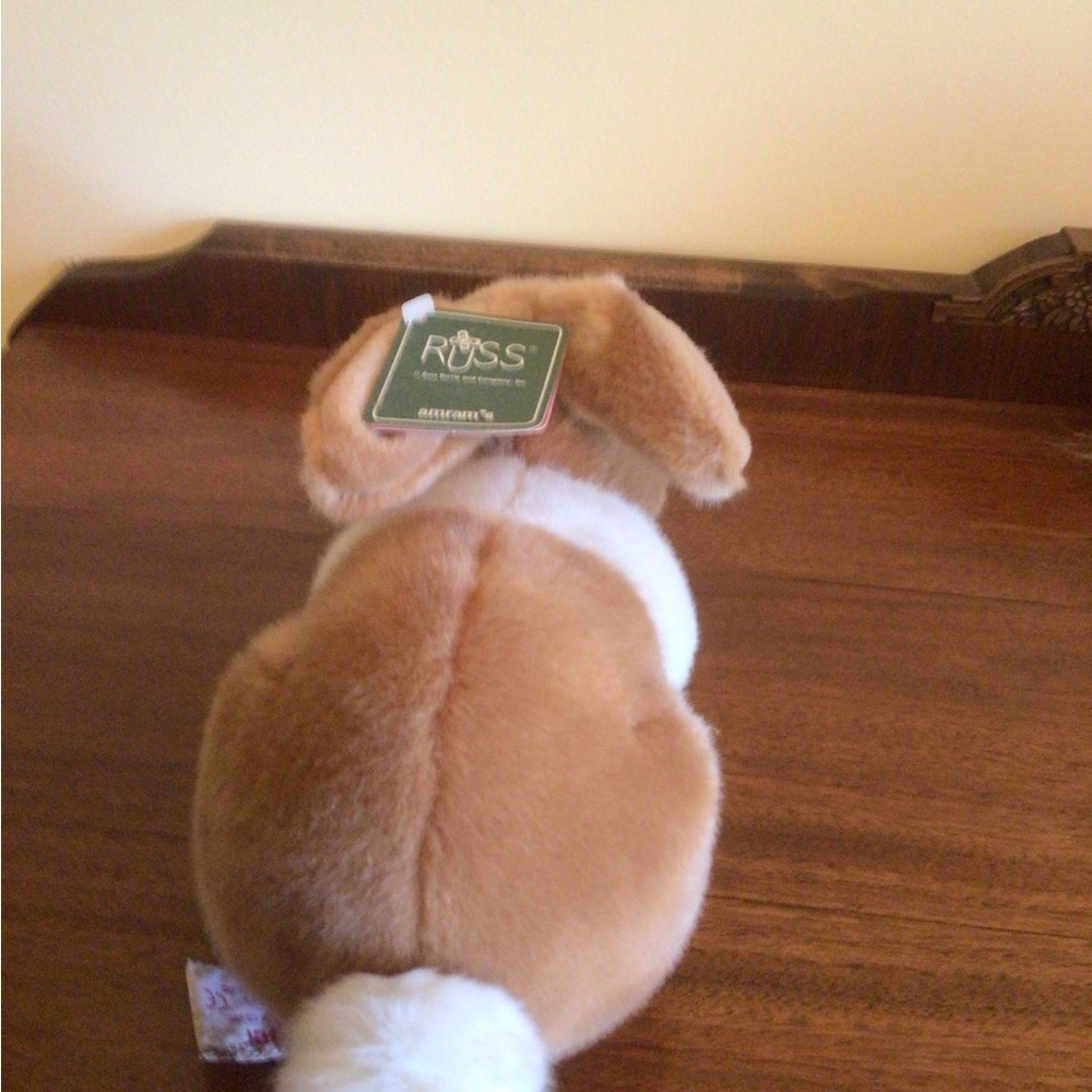 Russ Rabbit - Picture 3 of 5
